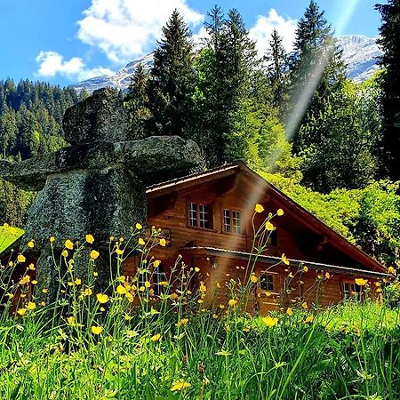 Alpenlodge Willigen Exterior foto