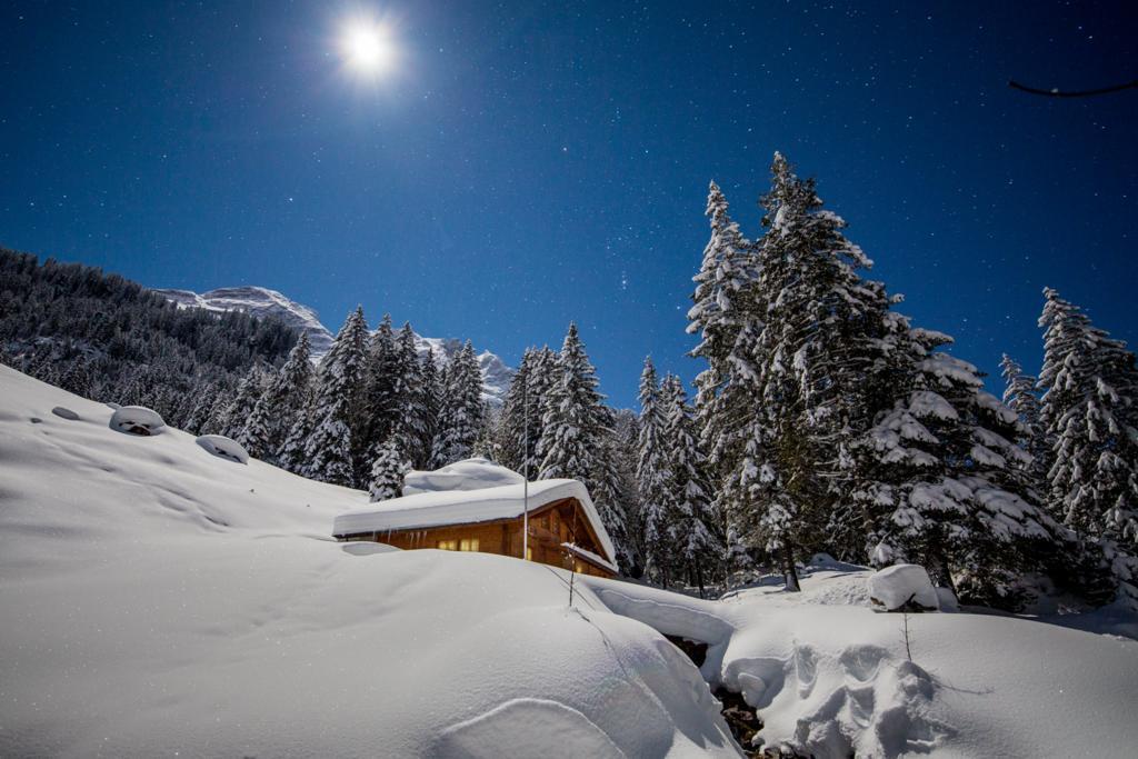 Alpenlodge Willigen Exterior foto