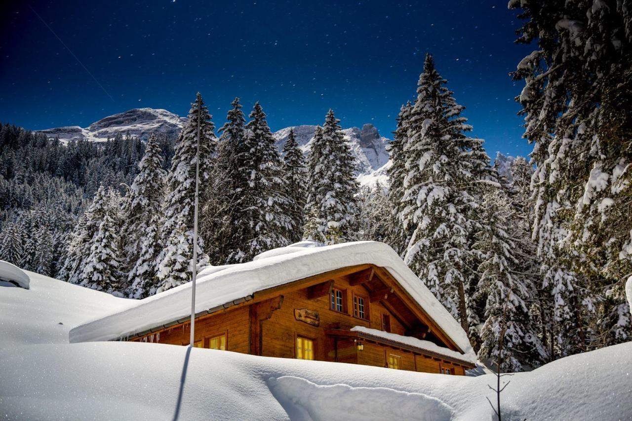 Alpenlodge Willigen Exterior foto