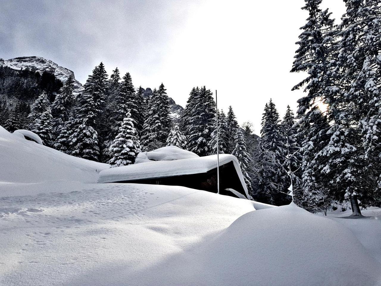 Alpenlodge Willigen Exterior foto